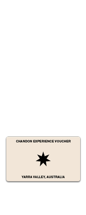 EXPERIENCE VOUCHER